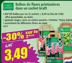 Norma Finest garden - bulbes de fleurs printanières dans un sachet kraft offre