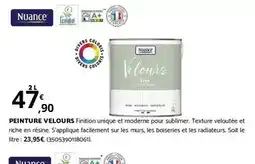 Bricomarché Peinture velours offre