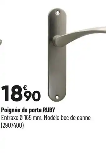 Bricorama Poignée de porte ruby offre