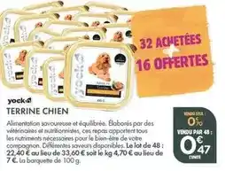 Point Vert Terrine chien offre