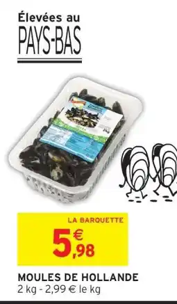 Intermarché Moules De Hollande offre