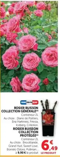 Super U Rosier buisson collection générale offre
