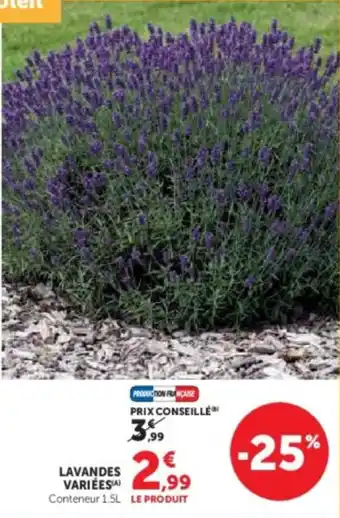 Super U Lavandes variées offre
