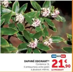Super U Daphne odorant offre