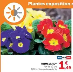 Super U Primevère offre