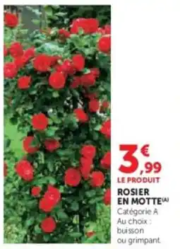 Super U Rosier εν μοττε offre