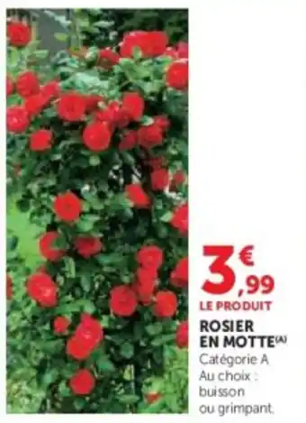 Super U Rosier εν μοττε offre