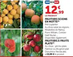 Super U Fruitiers scions en motte offre