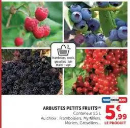 Super U Arbustes petits fruits offre