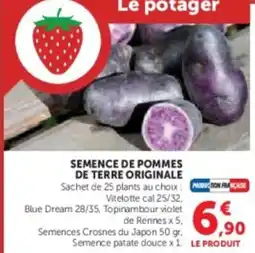 Super U Semence de pommes de terre originale offre
