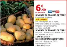 Super U Semence de pommes de terre offre