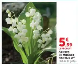 Super U Griffes de muguet nantais u offre