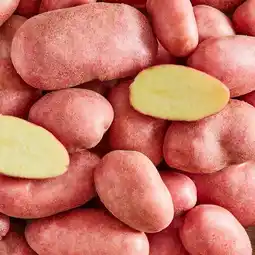 Carrefour Market Pommes de terre vapeur rouge filiere qualite carrefour offre