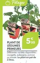 Carrefour Drive Café en grains, 100% arabica offre