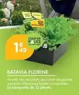 Carrefour Drive Labeyrie - aiguillettes de canard offre