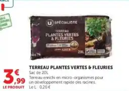 Super U Terreau plantes vertes & fleuries offre