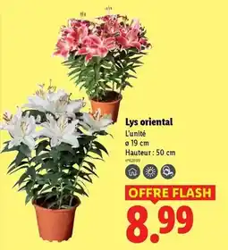Carrefour Drive Petit navire - rillettes de poisson lot de 2 offre