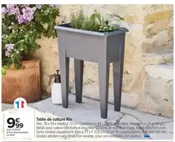 Carrefour Drive Rio - table de culture offre