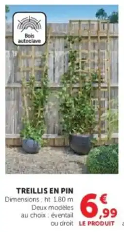 Super U Treillis en pin offre