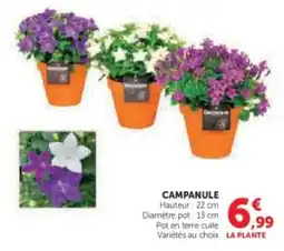 Super U Campanule offre