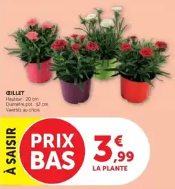 Super U Ceillet offre