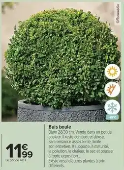 Carrefour Drive Buis boule offre