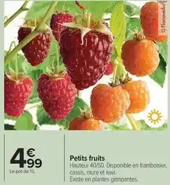 Carrefour Drive Petits fruits offre