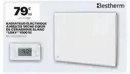 Brico Dépôt Kadiateud elbgthique a heatis srche coiur oe cer arbique blanc ploky 9000 v offre