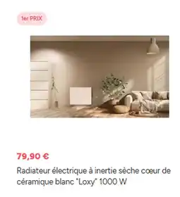 Brico Dépôt Radiateur électrique à inertie sèche coeur de céramique blanc Loxy 1000 W offre