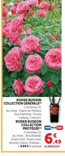 Hyper U Rosier buisson collection générale offre