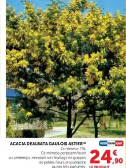 Hyper U Acacia dealbata gaulois astier offre