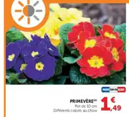 Hyper U Primeverea offre