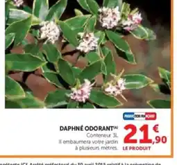 Hyper U Daphné odorant offre