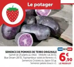 Hyper U Semence de pommes de terre originale offre