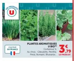 Hyper U Plantes aromatiques u bio offre