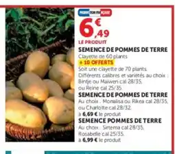 Hyper U Semence de pommes de terre offre