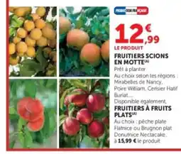 Hyper U Fruitiers scions en motte offre
