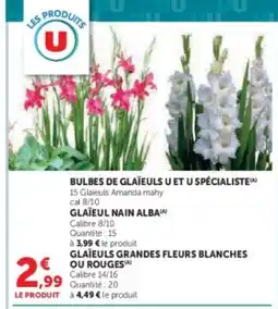 Hyper U Bulbes de glaïeuls u et u spécialiste offre