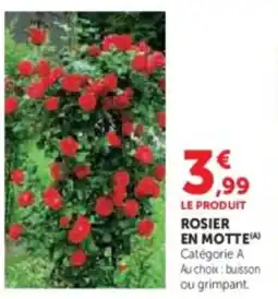 Hyper U Rosier en motte offre