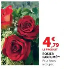 Hyper U Rosier parfume offre