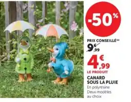 Hyper U Canard sous la pluie offre