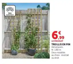 Hyper U Treillis en pin offre