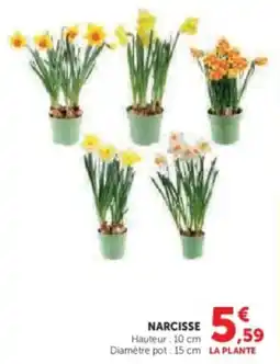 Hyper U Narcisse offre