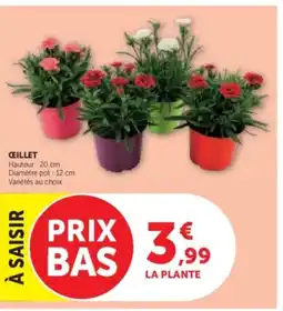 Hyper U Oeillet offre