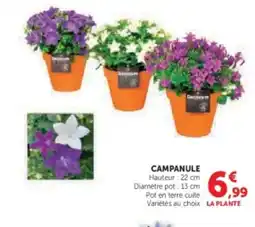 Hyper U Campanule offre