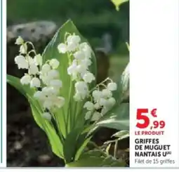 U Express Griffes de muguet nantais u offre