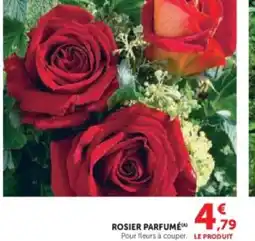 U Express Rosier parfume offre