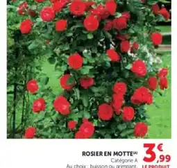 U Express Rosier en motte offre