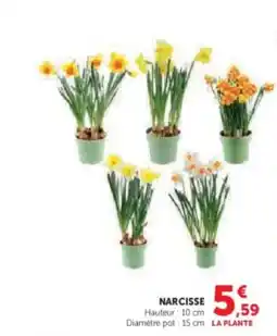 U Express Narcisse offre