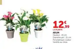 U Express Arum offre